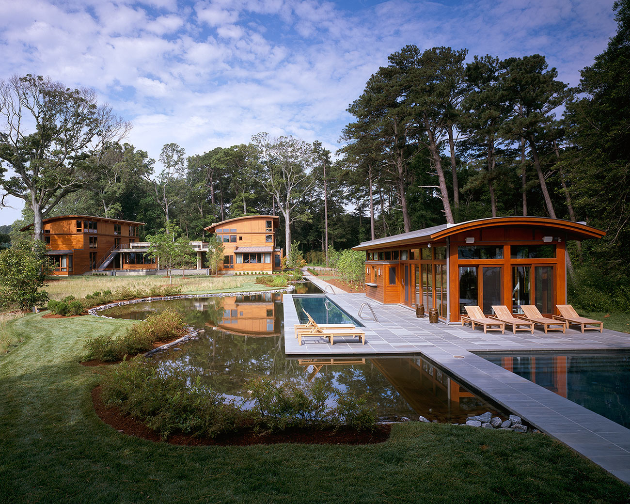 Modern Virginia Beach Pool House with Curved Roof, Natural Wetland Pond, Lap Pool and Free-form Pool Designed by Top Virginia Architect.